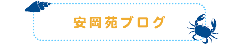 安岡苑ブログ